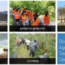 만우솔밭 이미지