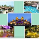 로뎀나무 민박 이미지