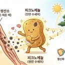 온누리기분좋은약국 네이버블로그