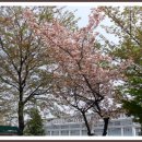 조선대학교병원 이미지