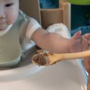 스푼 | 6개월 아기 첫 스푼 추천 모윰 이유식스푼 후기