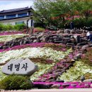 그린편의점 | [경남/꽃잔디명소]4~5월 경남 산청 가볼만한곳 추천! 대명사 꽃잔디와 생초국제조각공원 코스