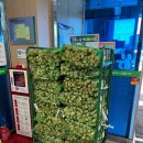 가나축산물판매장 | [국내여행] 인천 영흥도 수협 회센터, 농협 하나로 마트 후기! 국내여행 장보기에 빼놓을 수 없는 곳!