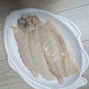 속초 중앙시장 지하 회센터 83번 내돈내산 찐추천