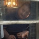 (의)태훈의료재단 새희망병원 | 영화 《더 웨일》 리뷰 | 줄거리·결말 해석, 고도비만 몸에 갇힌 아버지의 마지막 일주일