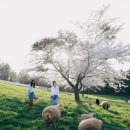 나래목장 이미지