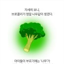 경호태권도체육관 이미지