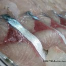 대진수산 이미지