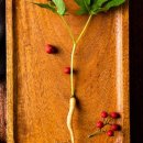 상한농장 이미지