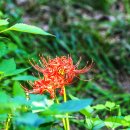 물돌이농장 이미지