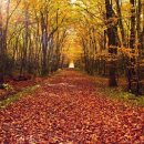 다옴한의원 이미지