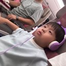 이안하우스민박 | 🇺🇸 미서부여행 DAY 1 / OZ204, LAX 허츠 렌트카, 잉글우드 코스트코, LA 레몬트리 게스트하우스