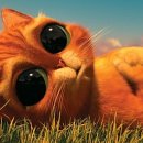 Puss in Boots 2 이미지