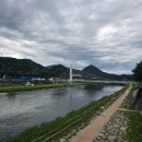 반딧불이 | 무주 반딧불축제 신비탐사 반딧불이 관람 평일 후기