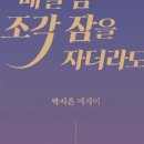 조각잠