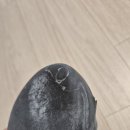 암벽화창갈이 슈즈드라이클럽 솔직후기 스카르파VSR 세척 서비스까지 대만족