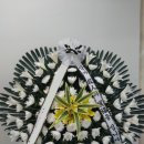 창녕서울병원 전문장례식장 이미지