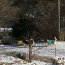 다복PC 이미지