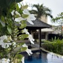 호텔태그(Hotel Tag) | 🌴인터컨티넨탈 발리 사누르 리조트 완벽 후기 | 그리고 사누르 맛집, 아보카도러버 포함 ✨