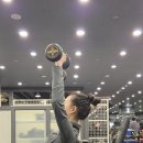 명신보이