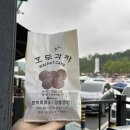 명동호텔 | 23.04.29~05.01 춘천