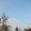 사루개 이미지