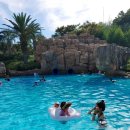 해호텔 | 제주 롯데호텔 내돈내산 투숙후기 (해온 수영장, 라세느 조식, 배달)