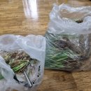 우후농장 이미지