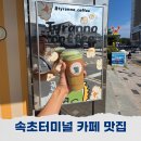 고속터미널앞 | 속초 고속터미널 앞 맛집 속초 카페 배달가능 티라노커피 솔직후기