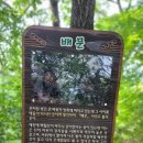 신왕리 쉼터 | [금북정맥]백월산 등산코스후기