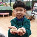 일죽초교병설유치원 이미지