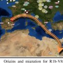부계 R1b V88 유전자 비율이 높은 세력의 이동 경로 관련 가설 이미지