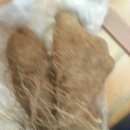 다락골농장 이미지