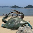집라인 - 14067 | 군산 선유도 해수욕장 집라인 가격, 이용 후기