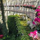 부천호수식물원 수피아 이미지