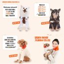 수송반려동물병원 이미지