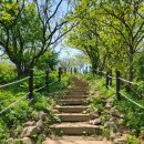 곰배령새소리 이미지