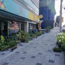 북부시장 사거리 이미지