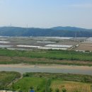 장포농장 이미지