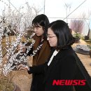 미선화장품
