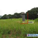 내산 윤집 묘 및 신도비 이미지