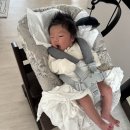 스토케 트리트랩 내돈내산 후기 아기 하이체어 추천