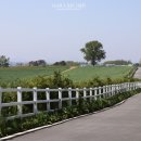 알라딘목장 이미지