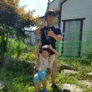 월악산 산아래 이미지