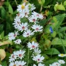 엘클래식의원 이미지