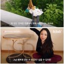 텐세그리티 이미지