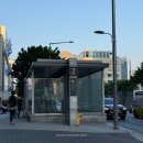 선정릉 피부과 텐써마 300샷 전후 변화 솔직 리뷰