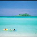 시재시재 이미지