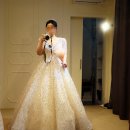 씨엔엘(C&L) | [후기4차] 본식 드레스 피팅 추가 / 금액, 디자인, 신상드레스 업로드