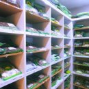 장백한의원 이미지